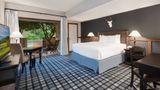Tapatio Springs Hill Country Resort Room
