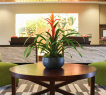 Hotel Indigo Traverse City Lobby