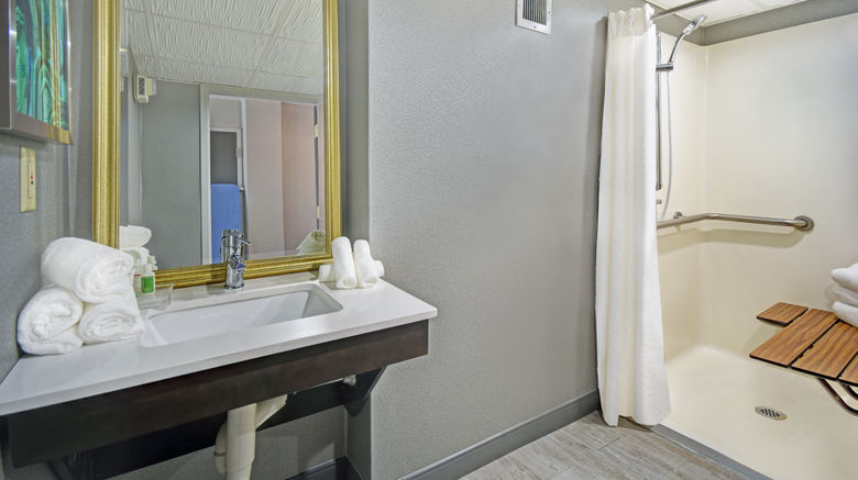 <b>Holiday Inn Memphis Downtown Beale St Room</b>. Images powered by <a href="https://leonardo.com/" title="Leonardo Worldwide" target="_blank">Leonardo</a>.