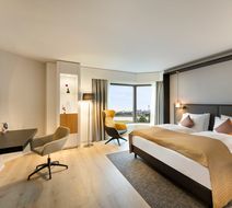 Crowne Plaza Dusseldorf-Neuss Room