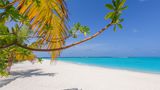 <b>The Standard, Huruvalhi Maldives Beach</b>. Images powered by <a href="https://www.leonardoworldwide.com/" title="Leonardo Worldwide" target="_blank">Leonardo</a>.