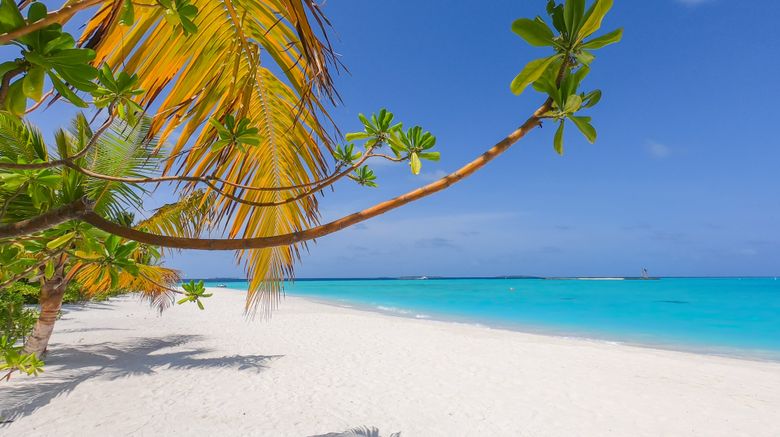 <b>The Standard, Huruvalhi Maldives Beach</b>. Images powered by <a href="https://www.leonardoworldwide.com/" title="Leonardo Worldwide" target="_blank">Leonardo</a>.