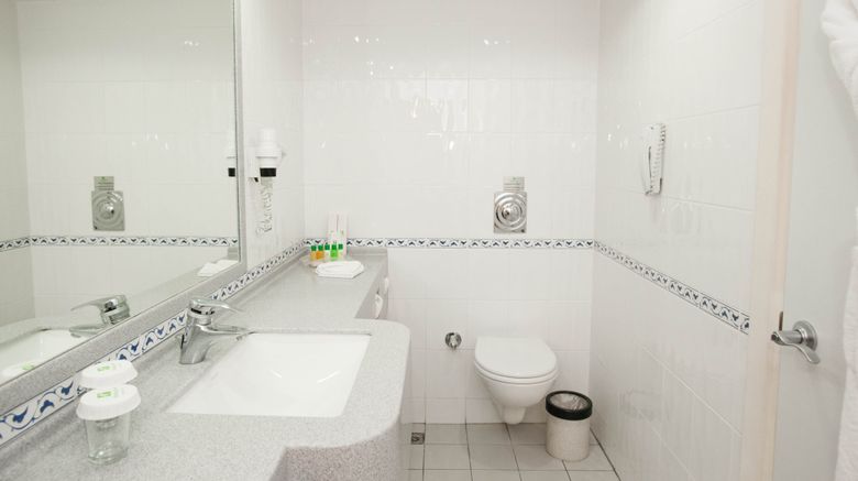 <b>Holiday Inn Istanbul City Room</b>. Images powered by <a href="https://www.leonardoworldwide.com/" title="Leonardo Worldwide" target="_blank">Leonardo</a>.