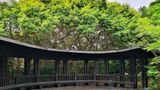 <b>Hotel Indigo Taipei North Other</b>. Virtual Tours powered by <a href="https://www.leonardoworldwide.com/" title="Leonardo Worldwide" target="_blank">Leonardo</a>.