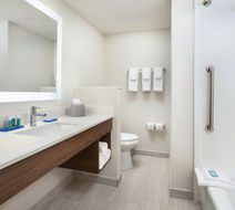 Holiday Inn Express Hotel & Suites DFW N Room