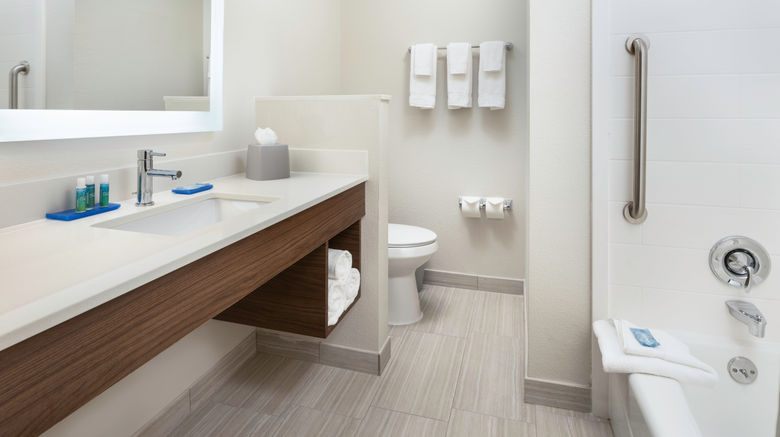 <b>Holiday Inn Express Hotel & Suites DFW N Room</b>. Images powered by <a href="https://www.leonardoworldwide.com/" title="Leonardo Worldwide" target="_blank">Leonardo</a>.