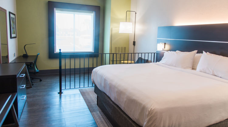 Holiday Inn Express Hotel & Suites Room