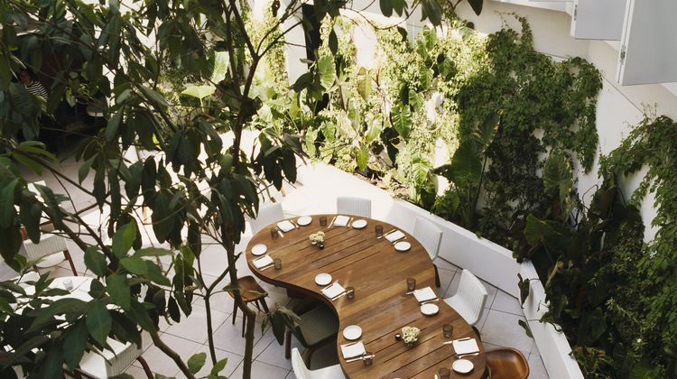 Condesa DF Restaurant