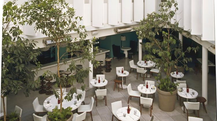 Condesa DF Restaurant