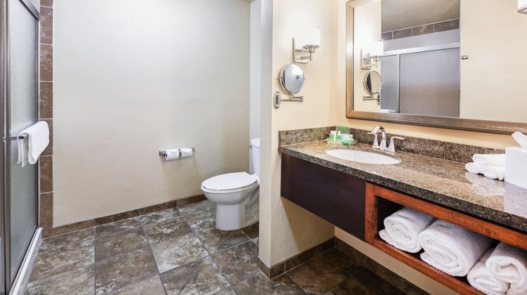 Holiday Inn & Suites Durango Downtown Room