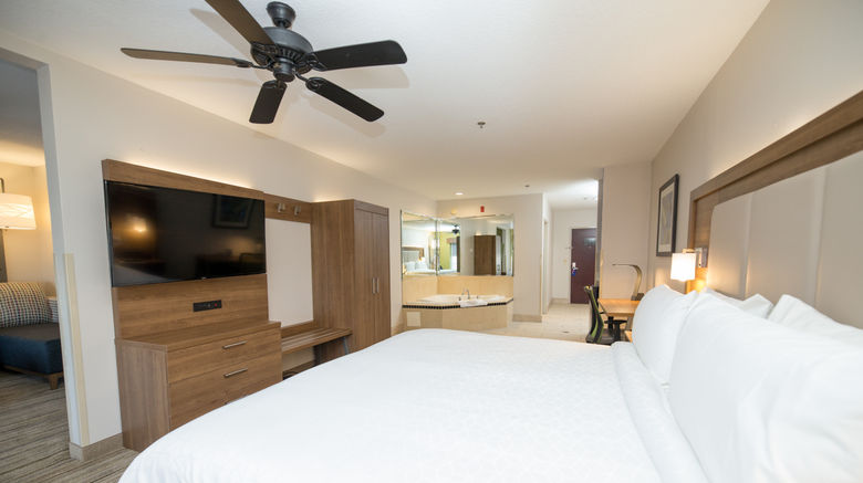<b>Holiday Inn Express Hotel & Suites Suite</b>. Images powered by <a href="https://www.leonardoworldwide.com/" title="Leonardo Worldwide" target="_blank">Leonardo</a>.