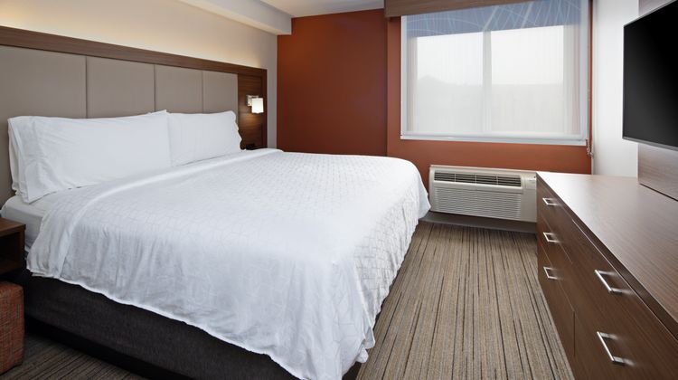 Holiday Inn Express Hotel & Suites Room