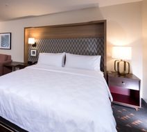 Holiday Inn & Suites Kalamazoo West Room