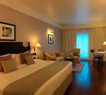 Hotel Royal Orchid Room