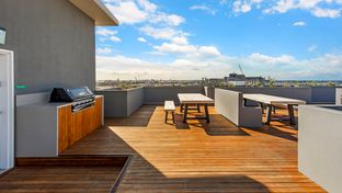 Astra Apartments Newcastle