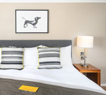 voco Oxford Spires Room
