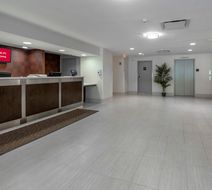 Red Roof PLUS+ Boston-Mansfield/ Foxboro Lobby