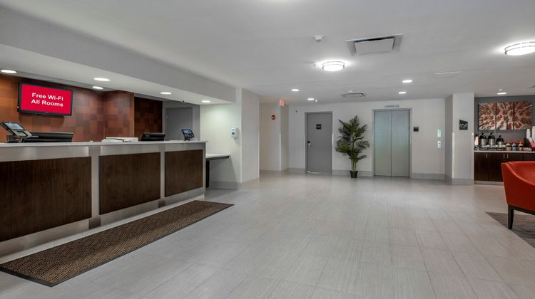 Red Roof PLUS+ Boston-Mansfield/ Foxboro Lobby