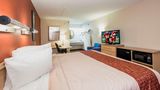 Red Roof Inn Cincinnati - Sharonville Room
