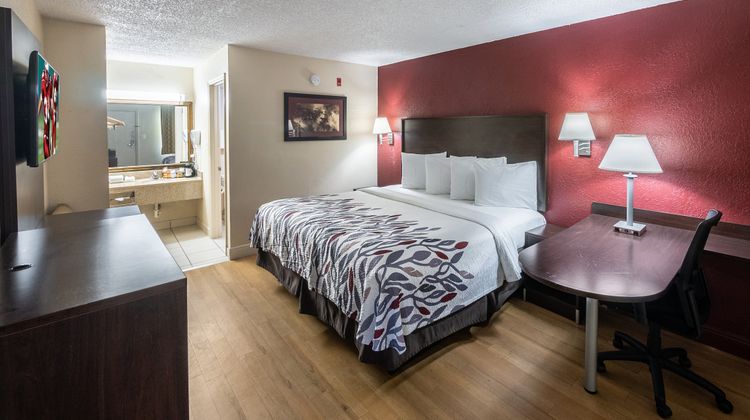 Red Roof Inn Orlando South-Florida Mall Room