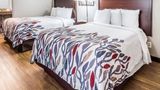 Red Roof Inn Spartanburg – I-26 Room