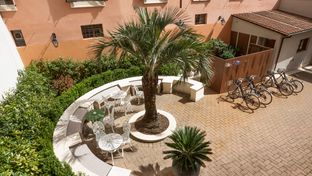 Palm Suite Hotel