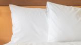 <b>Holiday Inn Express Hotel & Suites Room</b>. Images powered by <a href="https://www.leonardoworldwide.com/" title="Leonardo Worldwide" target="_blank">Leonardo</a>.