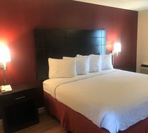 Red Roof Inn & Suites San Angelo Room