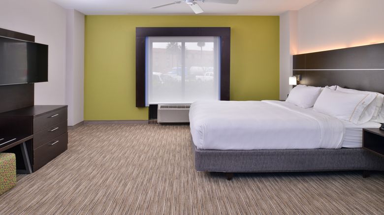 <b>Holiday Inn Express & Suites La Place Room</b>. Images powered by <a href="https://www.leonardoworldwide.com/" title="Leonardo Worldwide" target="_blank">Leonardo</a>.