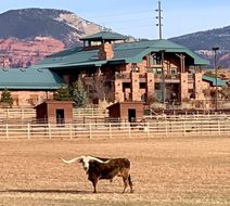 Cougar Ridge Lodge Exterior