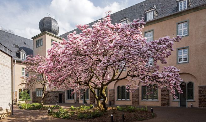 Kardinal Schulte Haus Exterior