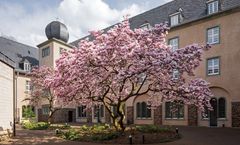 Kardinal Schulte Haus
