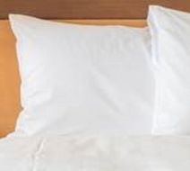 Holiday Inn Express Hotel & Suites Room