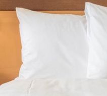 Holiday Inn Express & Suites Sanford Room