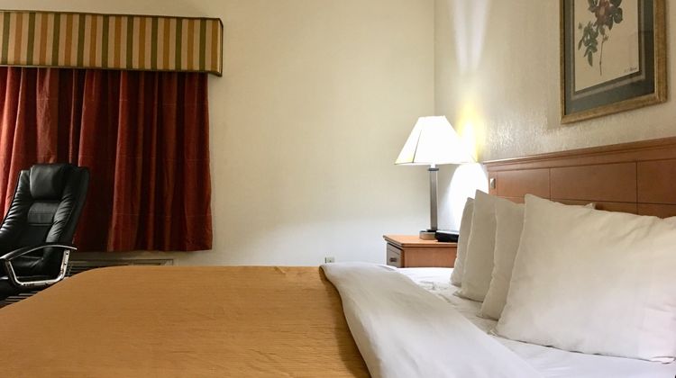 Red Carpet Inn Room