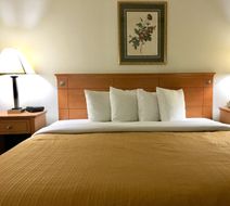 Red Carpet Inn Room