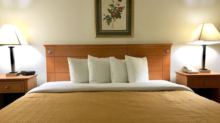Red Carpet Inn Room