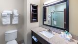 Holiday Inn Express Hotel & Suites Room