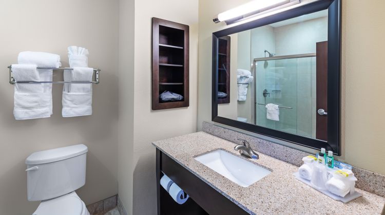 Holiday Inn Express Hotel & Suites Room
