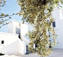 Masseria Calderisi Exterior
