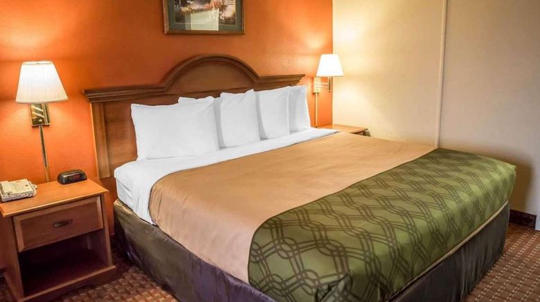 <b>Red Carpet Inn Jacksonville Room</b>. Images powered by <a href="https://www.leonardoworldwide.com/" title="Leonardo Worldwide" target="_blank">Leonardo</a>.