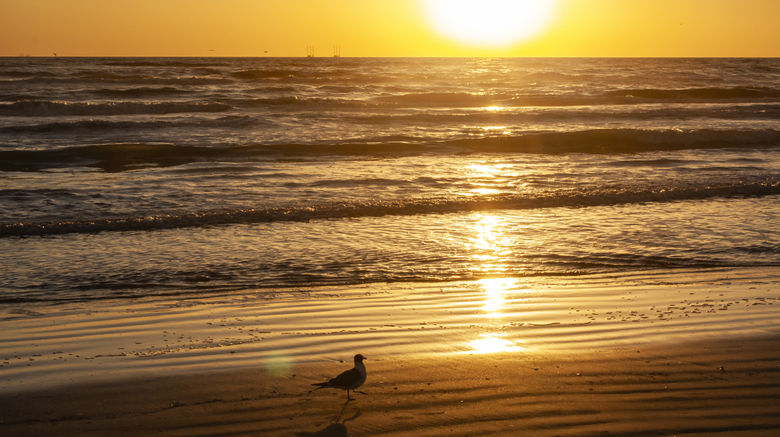 <b>Holiday Inn Resort South Padre Island Exterior</b>. Images powered by <a href="https://www.leonardoworldwide.com/" title="Leonardo Worldwide" target="_blank">Leonardo</a>.