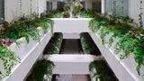 <b>citizenM Kuala Lumpur Bukit Bintang Exterior</b>. Images powered by <a href="https://leonardo.com/" title="Leonardo Worldwide" target="_blank">Leonardo</a>.