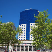 Dom Pedro Lisboa