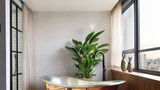 <b>Treehouse Hotel London Suite</b>. Images powered by <a href="https://www.leonardoworldwide.com/" title="Leonardo Worldwide" target="_blank">Leonardo</a>.