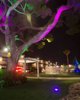 Thunderbird Hotel & Lounge