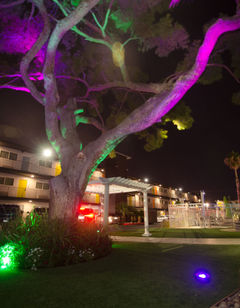 Thunderbird Hotel & Lounge