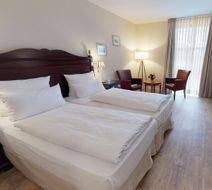 Hotel Engel Room