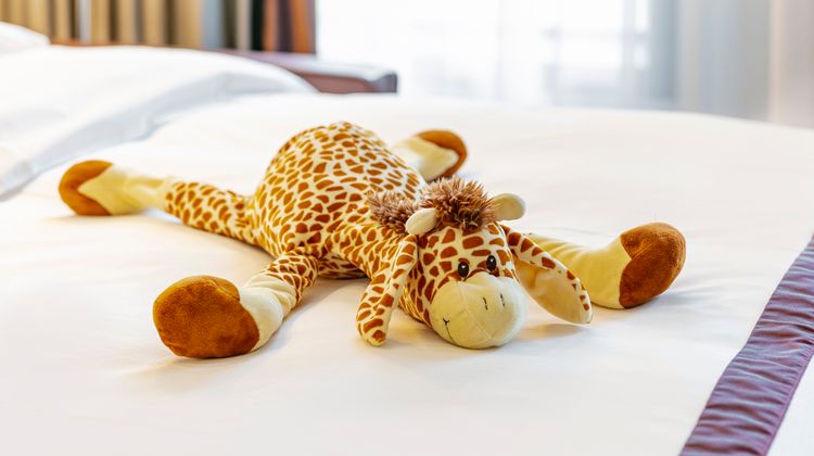 Crowne Plaza Amsterdam - South Suite