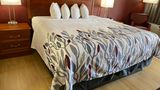 Red Roof Inn Wheelersburg Room
